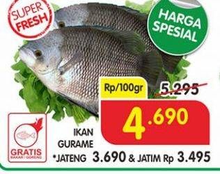 Promo Harga Ikan Gurame per 100 gr - Superindo