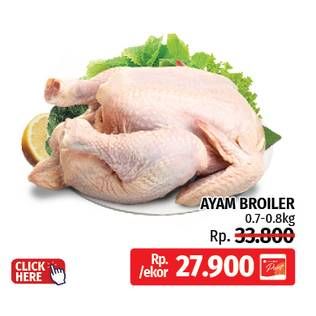 Promo Harga Ayam Broiler 700 gr - LotteMart