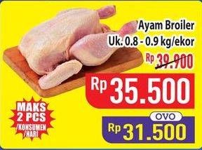 Promo Harga Ayam Broiler 800 gr - Hypermart