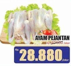 Promo Harga Ayam Pejantan 600 gr - Hari Hari