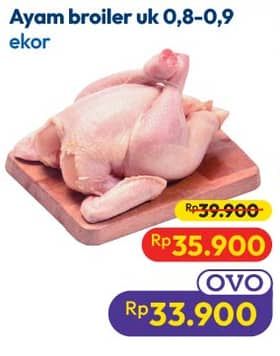 Promo Harga Ayam Broiler 800 gr - Hypermart
