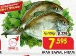 Promo Harga Ikan Bawal Hitam per 100 gr - Superindo