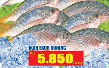 Promo Harga Ikan Ekor Kuning per 100 gr - Hari Hari