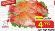 Promo Harga Ikan Nila Merah per 100 gr - Superindo