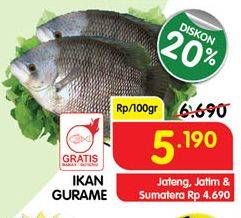 Promo Harga Ikan Gurame per 100 gr - Superindo