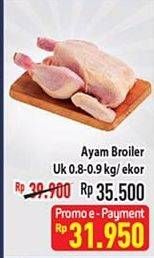 Promo Harga Ayam Broiler 800 gr - Hypermart