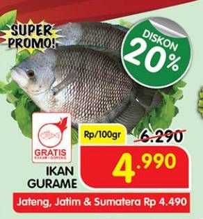 Promo Harga Ikan Gurame per 100 gr - Superindo