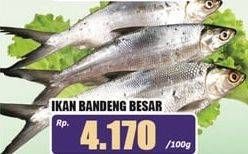 Promo Harga Ikan Bandeng Jumbo per 100 gr - Hari Hari