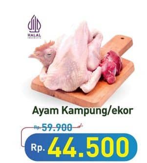 Promo Harga Ayam Kampung 500 gr - Hypermart