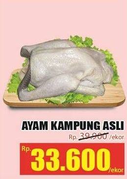 Promo Harga Ayam Kampung Asli  - Hari Hari