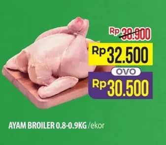 Promo Harga Ayam Broiler 800 gr - Hypermart