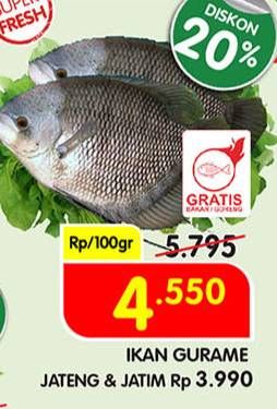 Promo Harga Ikan Gurame  - Superindo