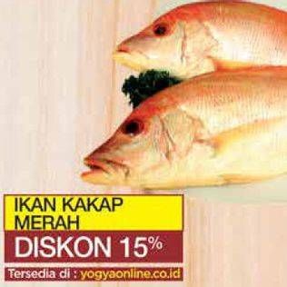 Promo Harga Ikan kakap merah  - Yogya