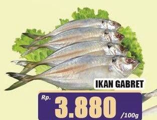 Promo Harga Ikan Gabret per 100 gr - Hari Hari