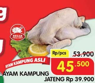 Promo Harga Ayam Kampung 500 gr - Superindo