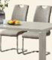 Promo Harga OPHELIA Dining Chair  - Carrefour