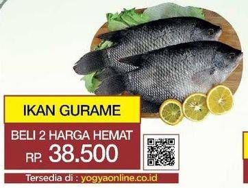 Promo Harga Ikan Gurame per 2 pcs - Yogya