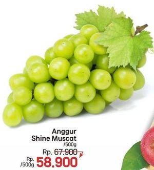 Promo Harga Anggur Shine Muscat 500 gr - LotteMart