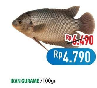 Promo Harga Ikan Gurame per 100 gr - Hypermart
