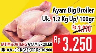 Promo Harga Ayam Broiler per 100 gr - Hypermart