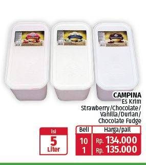 Promo Harga Campina Ice Cream Strawberry, Chocolate, Vanilla, Durian, Choc Fudge 5000 ml - Lotte Grosir