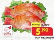 Promo Harga Ikan Nila Merah per 100 gr - Superindo