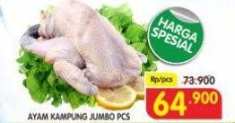 Promo Harga Ayam Kampung 700 gr - Superindo