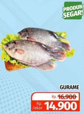 Promo Harga Ikan Gurame  - Lotte Grosir