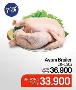 Promo Harga Ayam Broiler 800 gr - Lotte Grosir