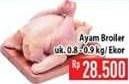 Promo Harga Ayam Broiler  - Hypermart