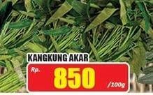 Promo Harga Kangkung Akar per 100 gr - Hari Hari