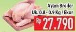 Promo Harga Ayam Broiler  - Hypermart