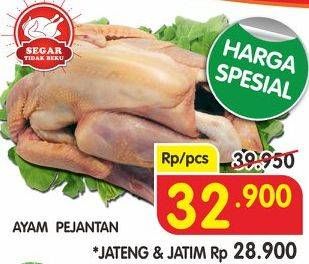 Promo Harga Ayam Pejantan  - Superindo