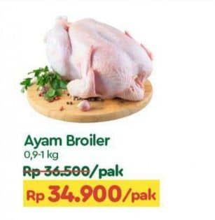 Harga Ayam Broiler