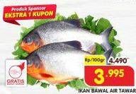 Promo Harga Ikan Bawal Tawar per 100 gr - Superindo