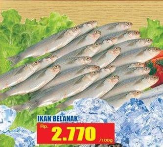 Promo Harga Ikan Belanak per 100 gr - Hari Hari