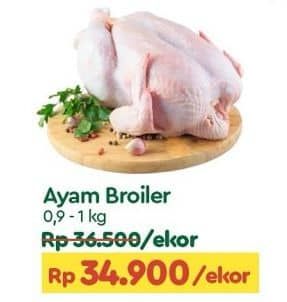 Promo Harga Ayam Broiler  - TIP TOP