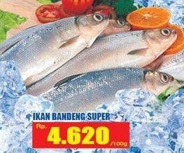 Promo Harga Ikan Bandeng Super per 100 gr - Hari Hari