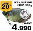 Promo Harga Ikan Gurame per 100 gr - Giant