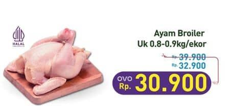 Promo Harga Ayam Broiler 800 gr - Hypermart