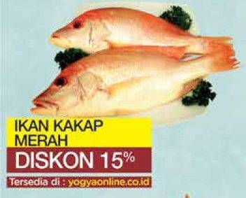 Promo Harga Ikan kakap merah  - Yogya