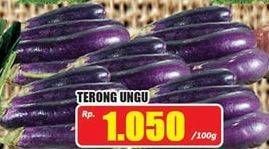 Promo Harga Terong Ungu per 100 gr - Hari Hari