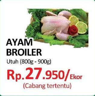 Promo Harga Ayam Broiler  - Yogya