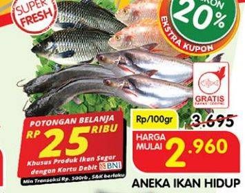 Promo Harga Aneka Ikan Hidup  - Superindo