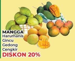 Promo Harga Mangga Harumas/Gincu/Gedong/Cengkir  - Yogya