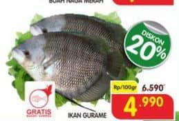 Promo Harga Ikan Gurame per 100 gr - Superindo