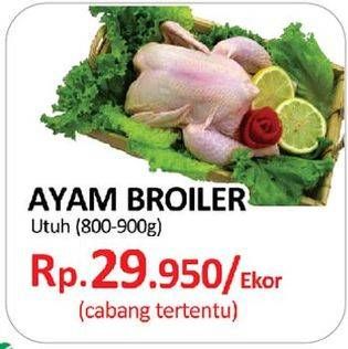 Promo Harga Ayam Broiler  - Yogya