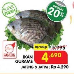 Promo Harga Ikan Gurame per 100 gr - Superindo