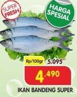 Promo Harga Ikan Bandeng Super per 100 gr - Superindo