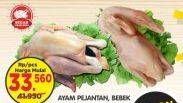 Promo Harga Ayam Pejantan / Bebek  - Superindo